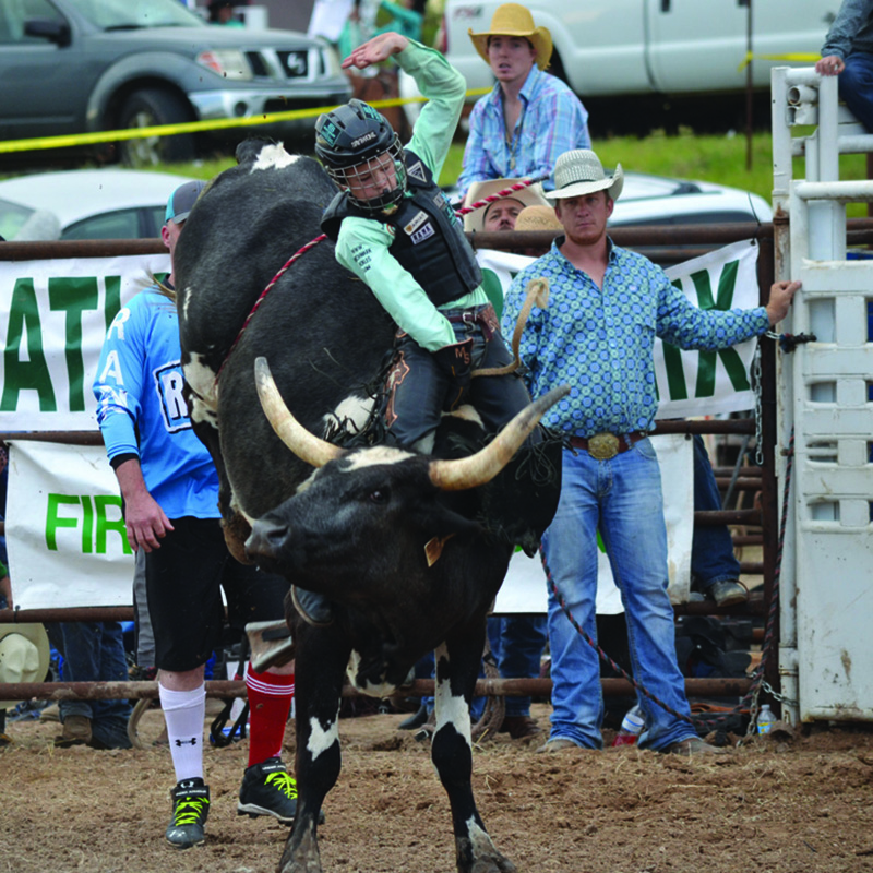 Home Lampasas County Chamber of Commerce